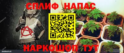 ГАЛЛЮЦИНОГЕННЫЕ ГРИБЫ Бугуруслан