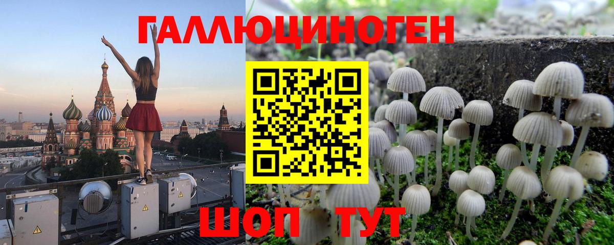 Павловский Посад  Псилоцибиновые грибы ЛСД  Вход с VPN  где можно купить наркотик  Галлюциногенные грибы Cubensis 
