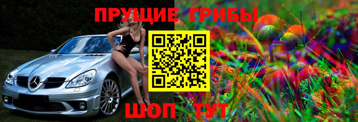 Галлюциногенные грибы мухоморы Павловский Посад